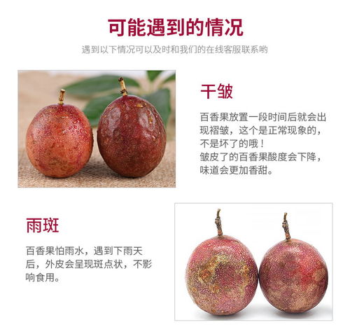 廣西百香果大果3斤現(xiàn)摘新鮮水果批發(fā)指南 把握黃金品質(zhì)，搶占市場(chǎng)先機(jī)