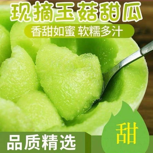 清甜爽脆，夏日瓜香——玉菇甜瓜、哈密瓜、羊角蜜當(dāng)季批發(fā)指南